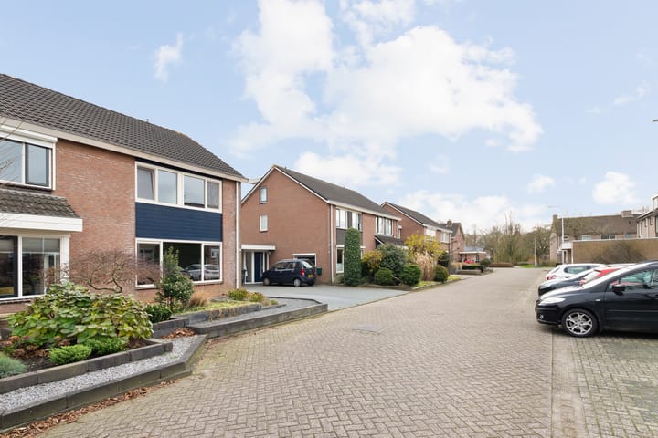 Foto 6 van Lijster 83