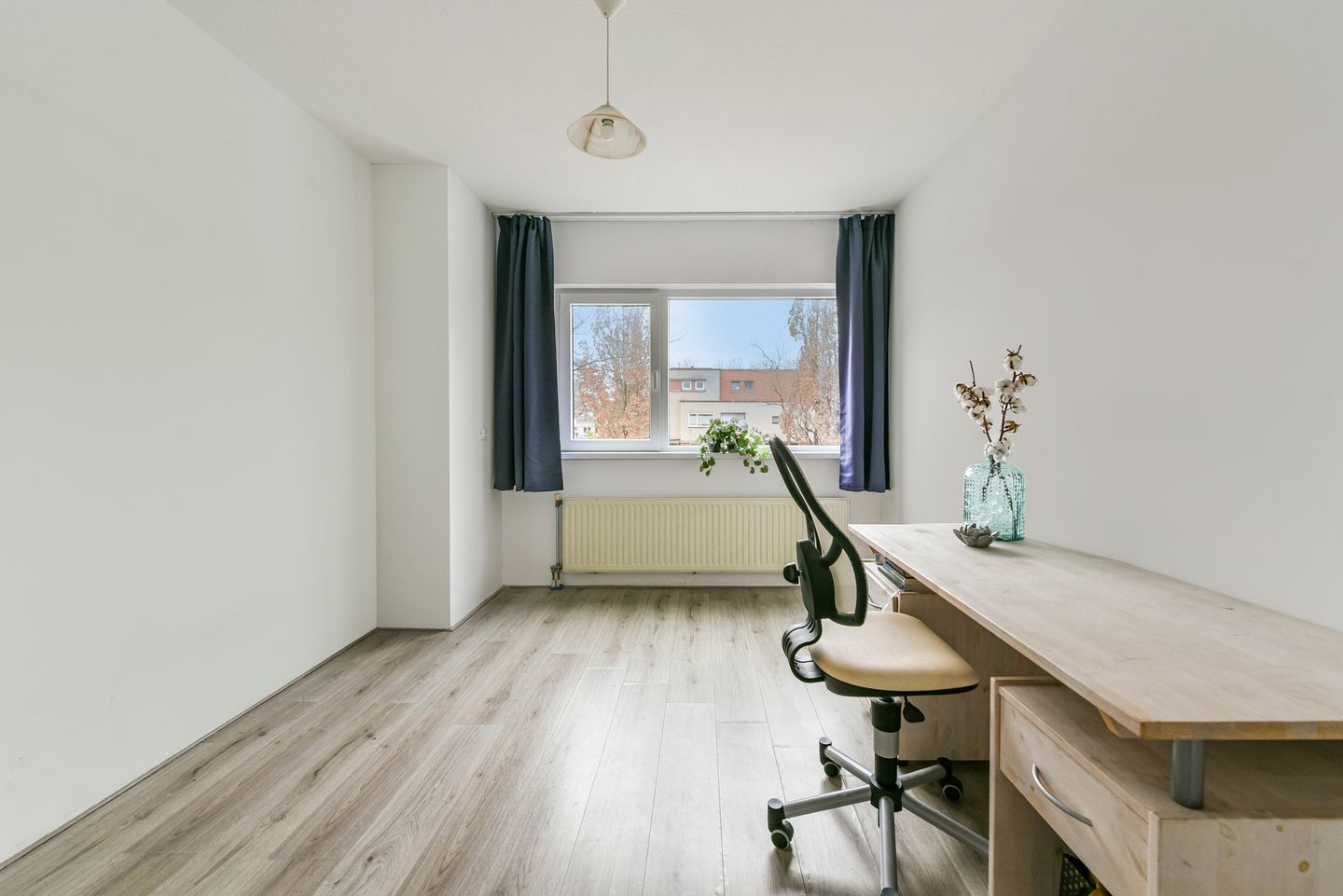 Foto 19 van Het Zwarte Paard 2