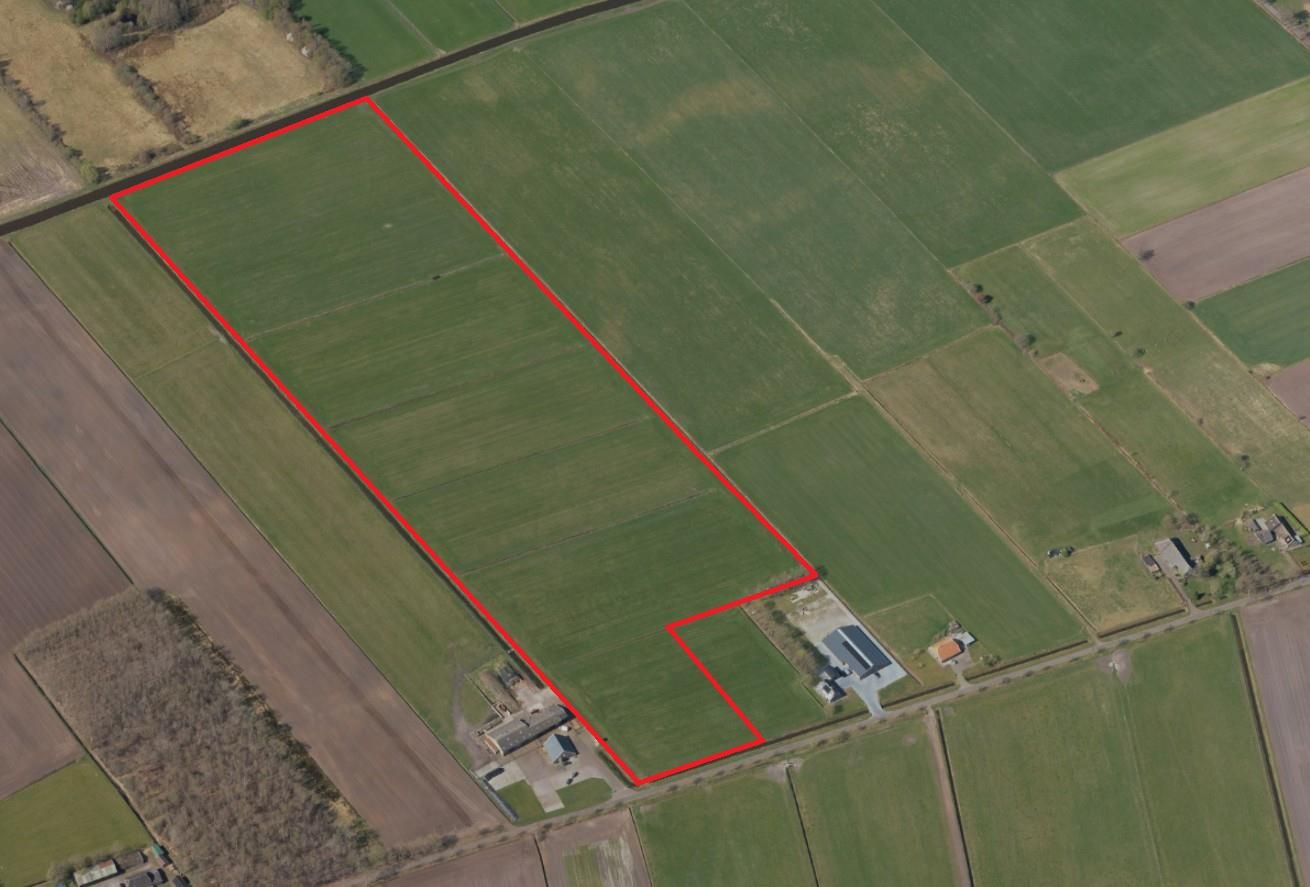 Bekijk foto 1 van Meeuwenweg