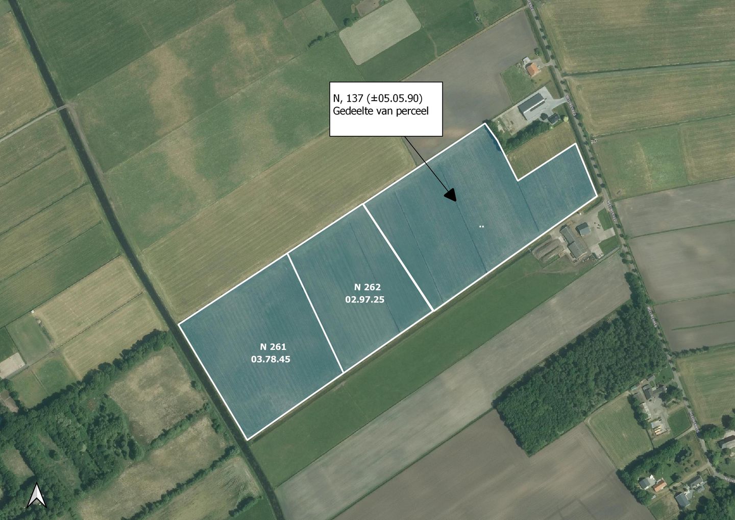 Bekijk foto 2 van Meeuwenweg