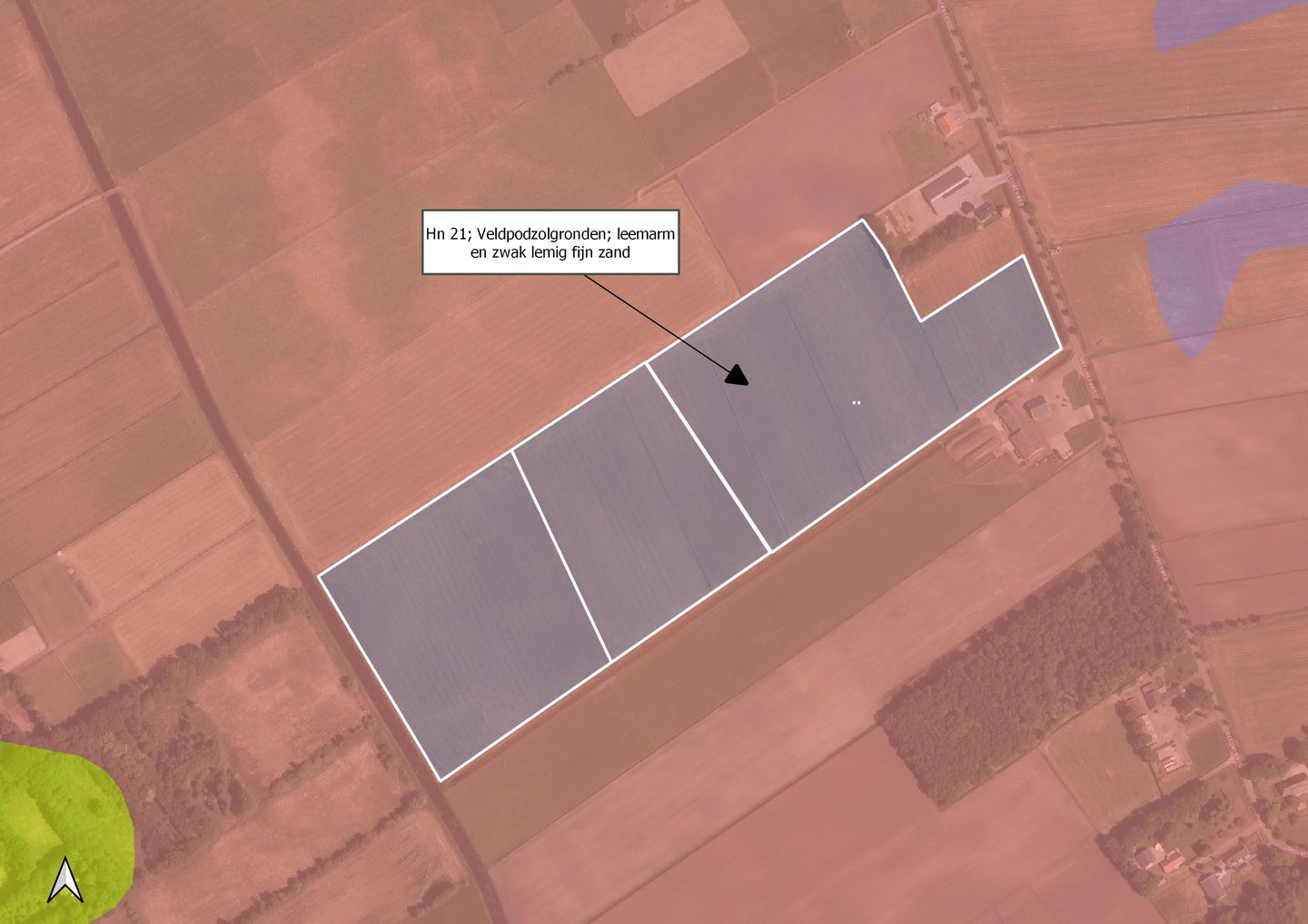 Bekijk foto 3 van Meeuwenweg