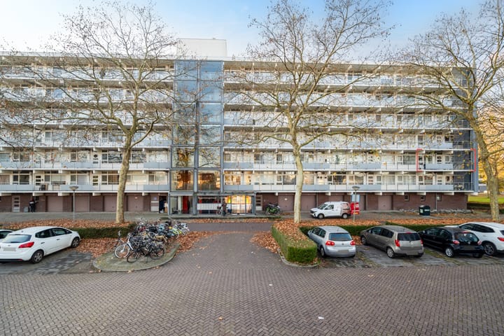 Regenboogstraat 21