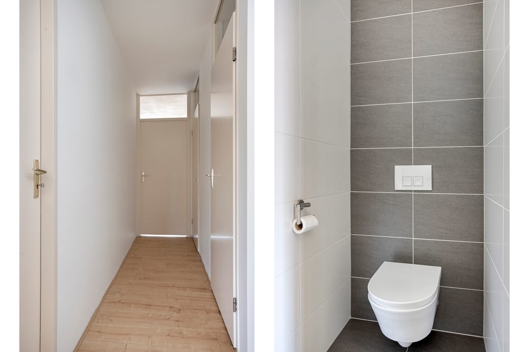 Foto 23 van Keizerfazant 9