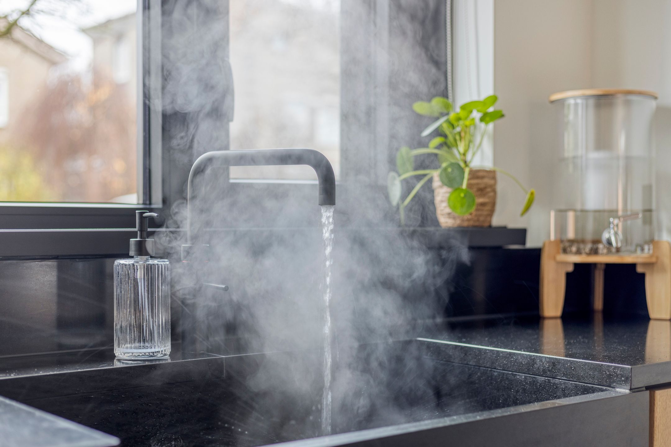 Foto 15 van Keizerfazant 9