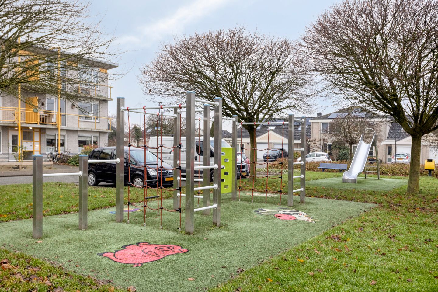 Foto 35 van Keizerfazant 9