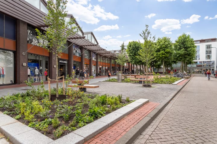 Foto 21 van Pastoor de Kroonstraat 297-D