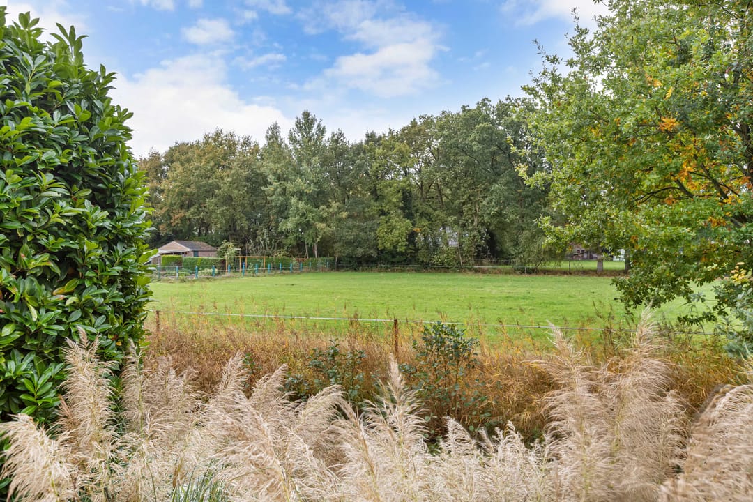 Foto 41 van Stal 271