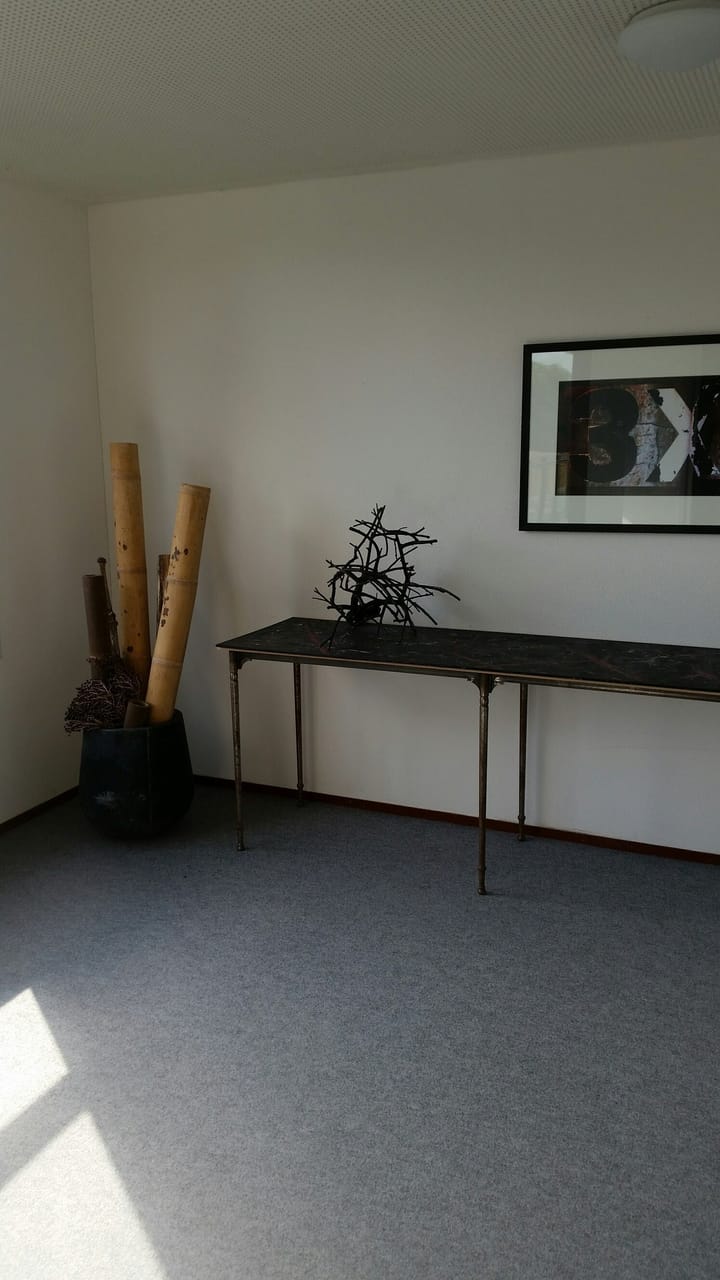 Foto 10 van Carolina MacGillavrylaan 522