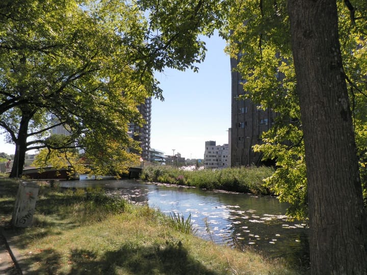 Foto 1 van Carolina MacGillavrylaan 522