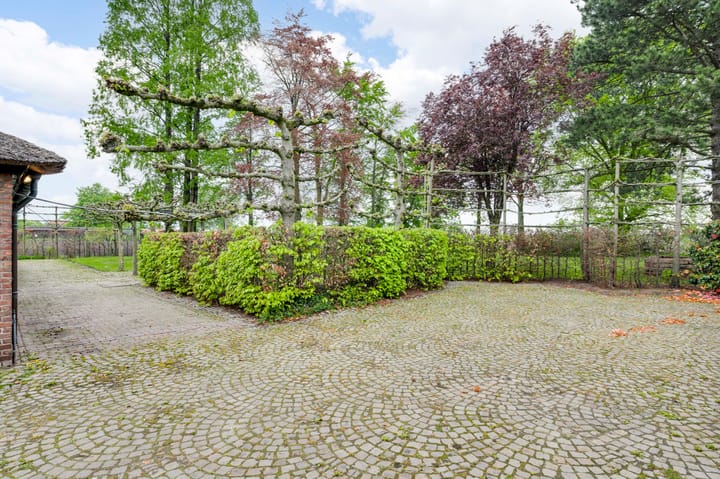 Foto 44 van Boschdijk 11