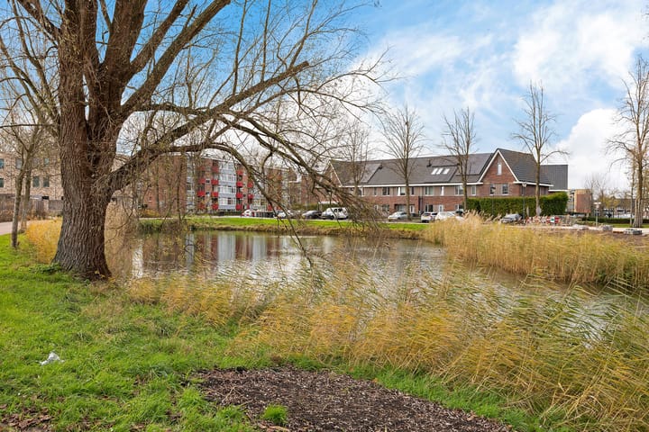 Photo 10 of Douwelerwetering 22