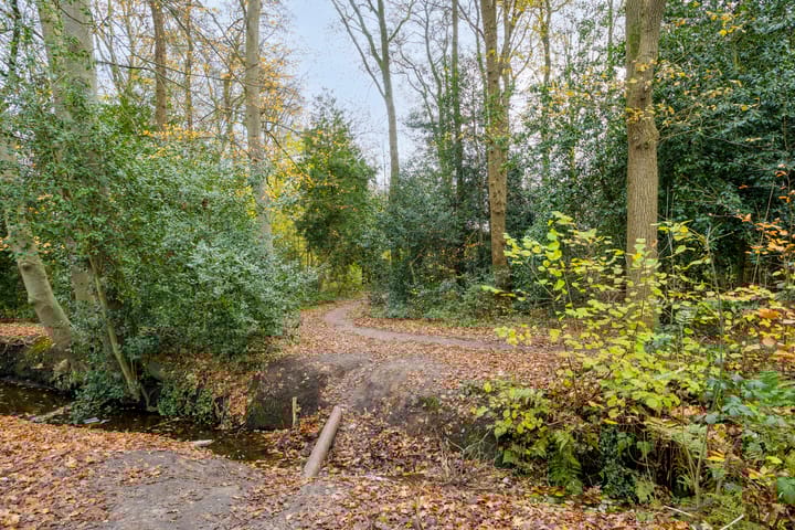 Foto 42 van Martenskamp 8