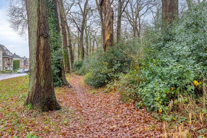 Photo 62 of Beilerstraat 61