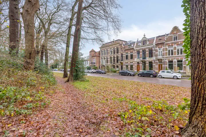 Photo 61 of Beilerstraat 61