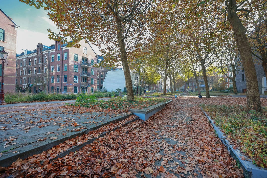 Foto 52 van Touwbaanpark 1