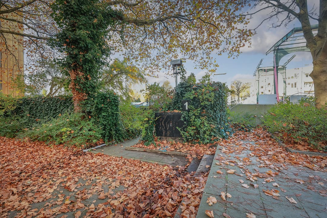 Foto 53 van Touwbaanpark 1