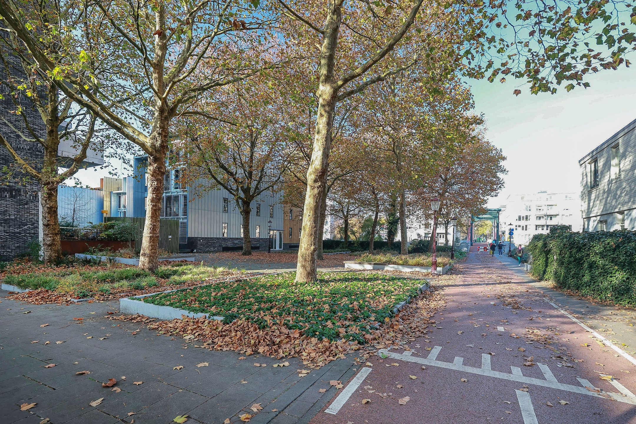 Foto 60 van Touwbaanpark 1