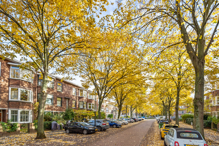 Foto 28 van Caan van Necklaan 159-A