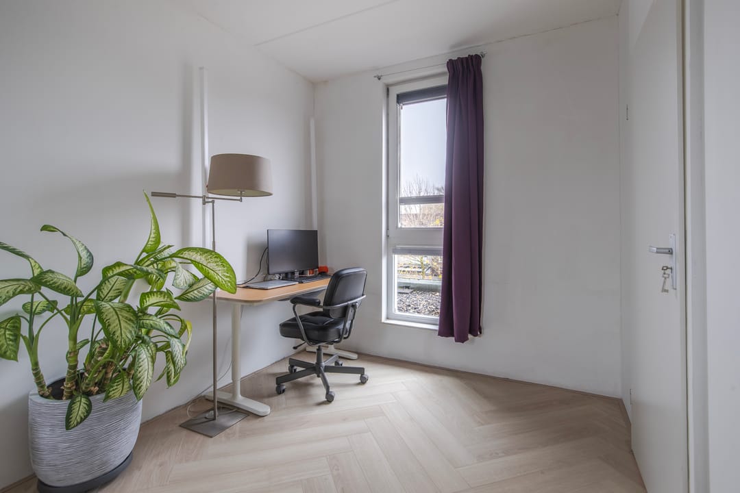 Foto 17 van Dianaplantsoen 58