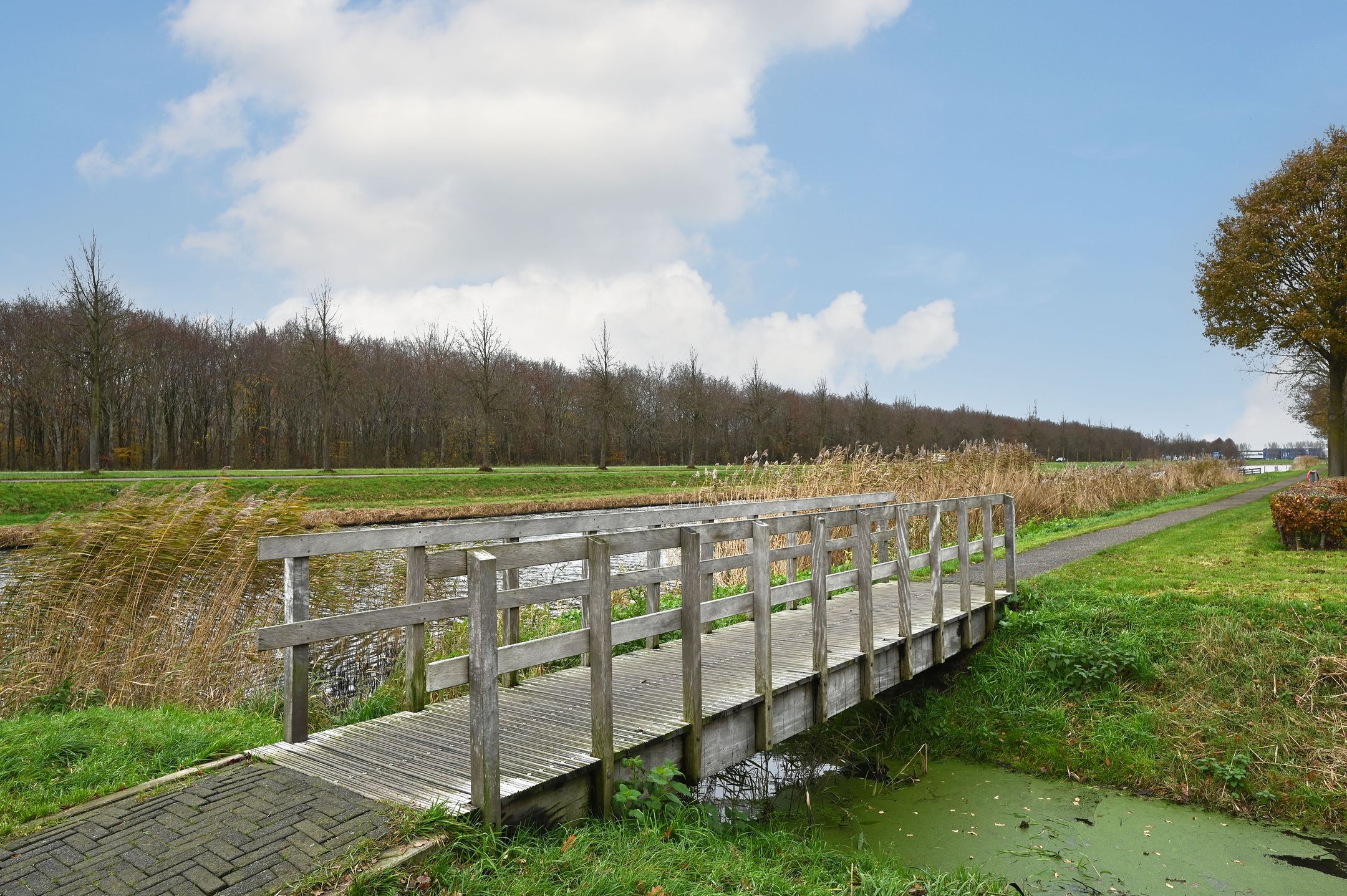 Foto 24 van Fitislaan 24