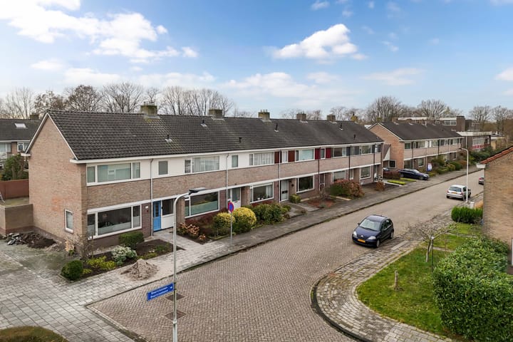 Photo 44 of Bouriciuslaan 7