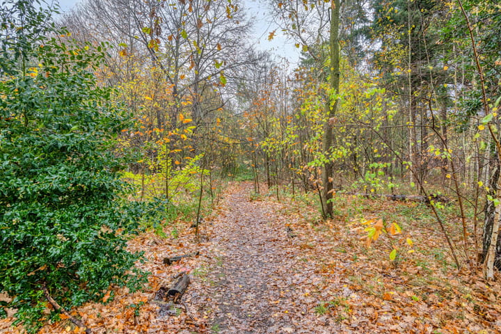 Photo 50 of Stillendijk 7