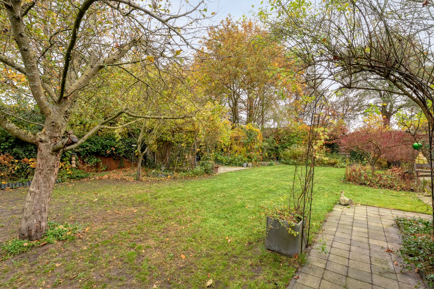 Foto 19 van Cello 24