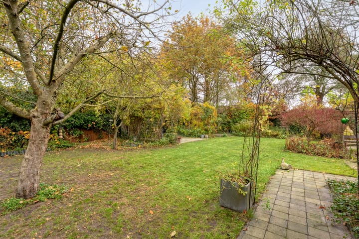 Photo 19 of Cello 24