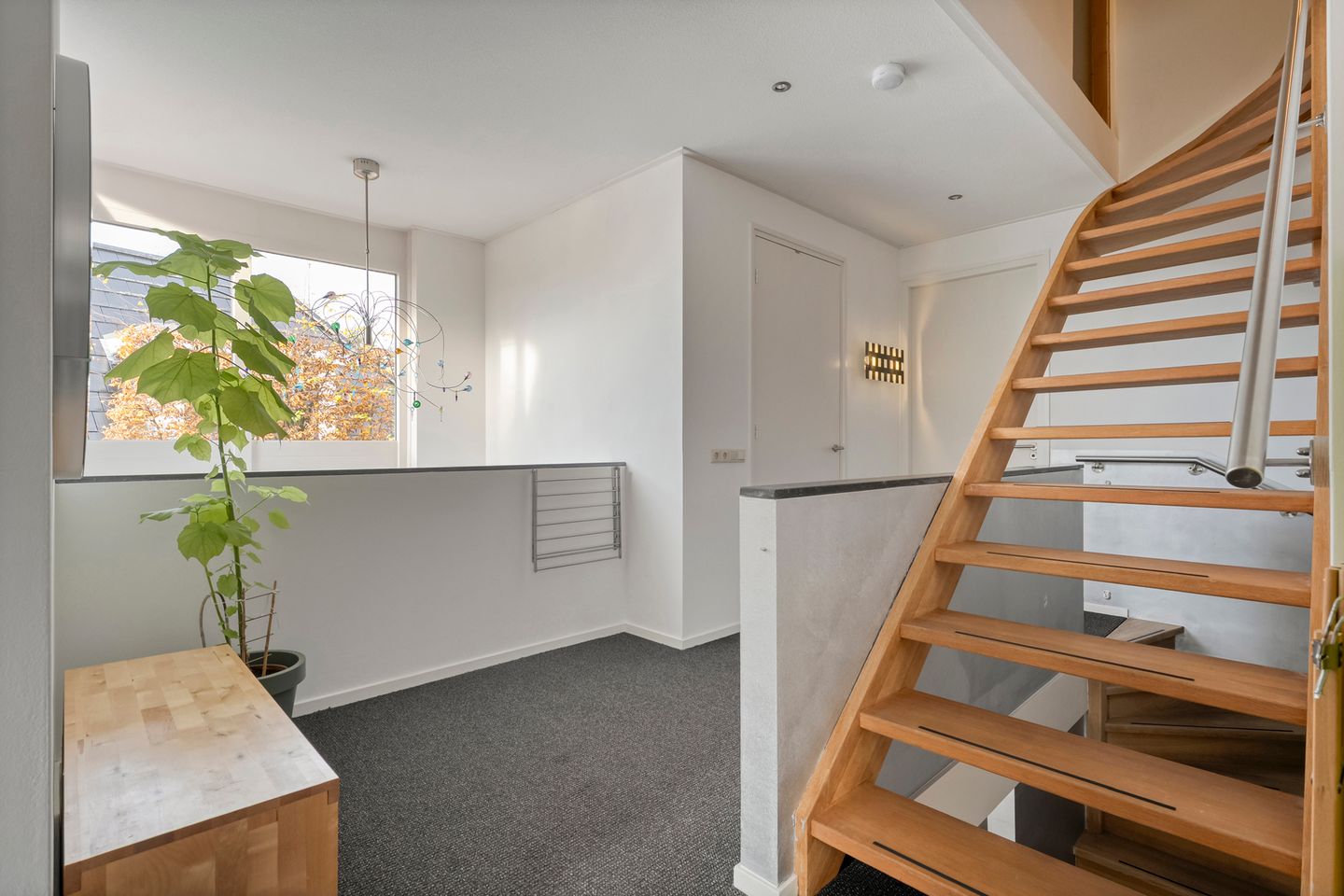 Foto 20 van Cello 24