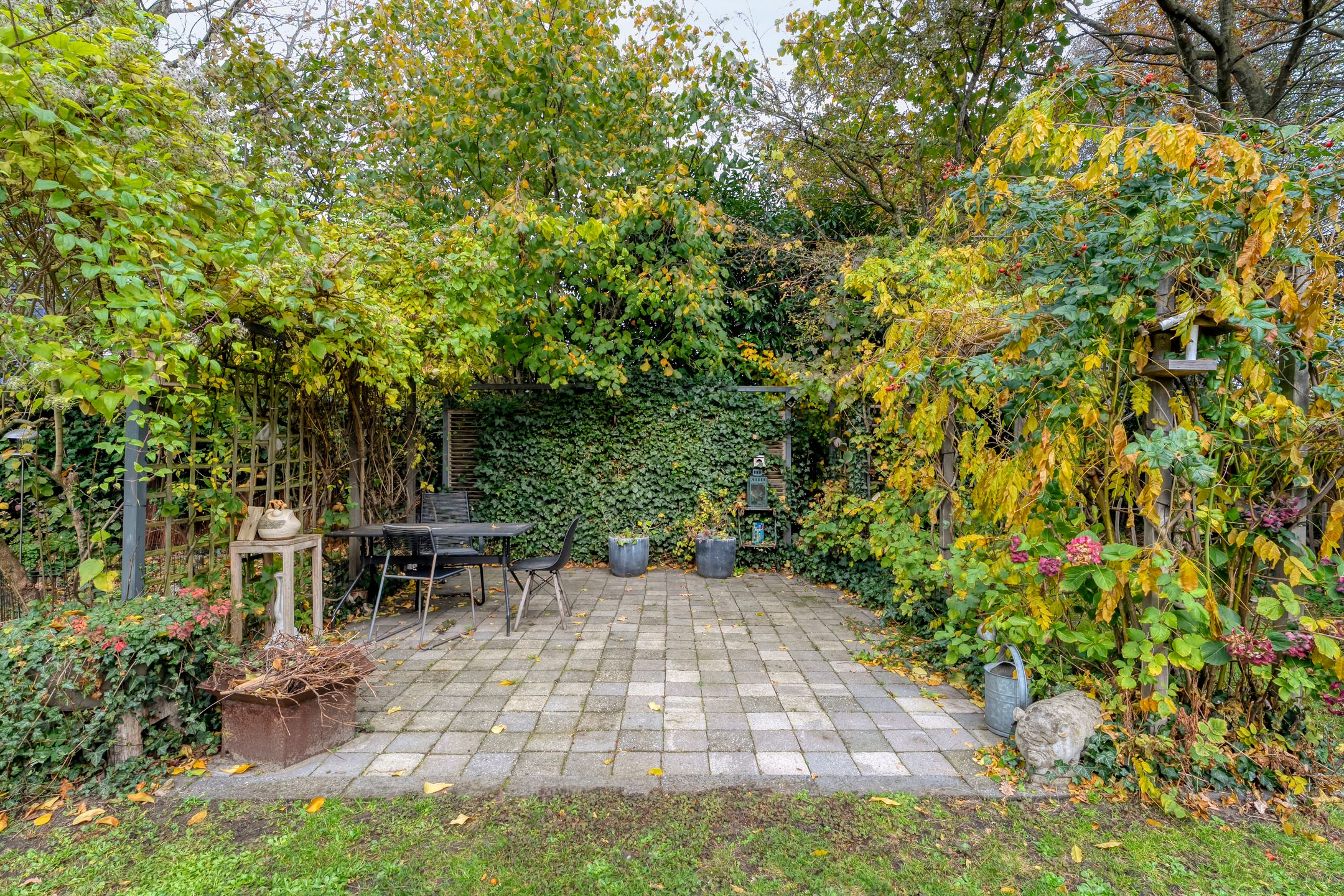 Foto 33 van Cello 24