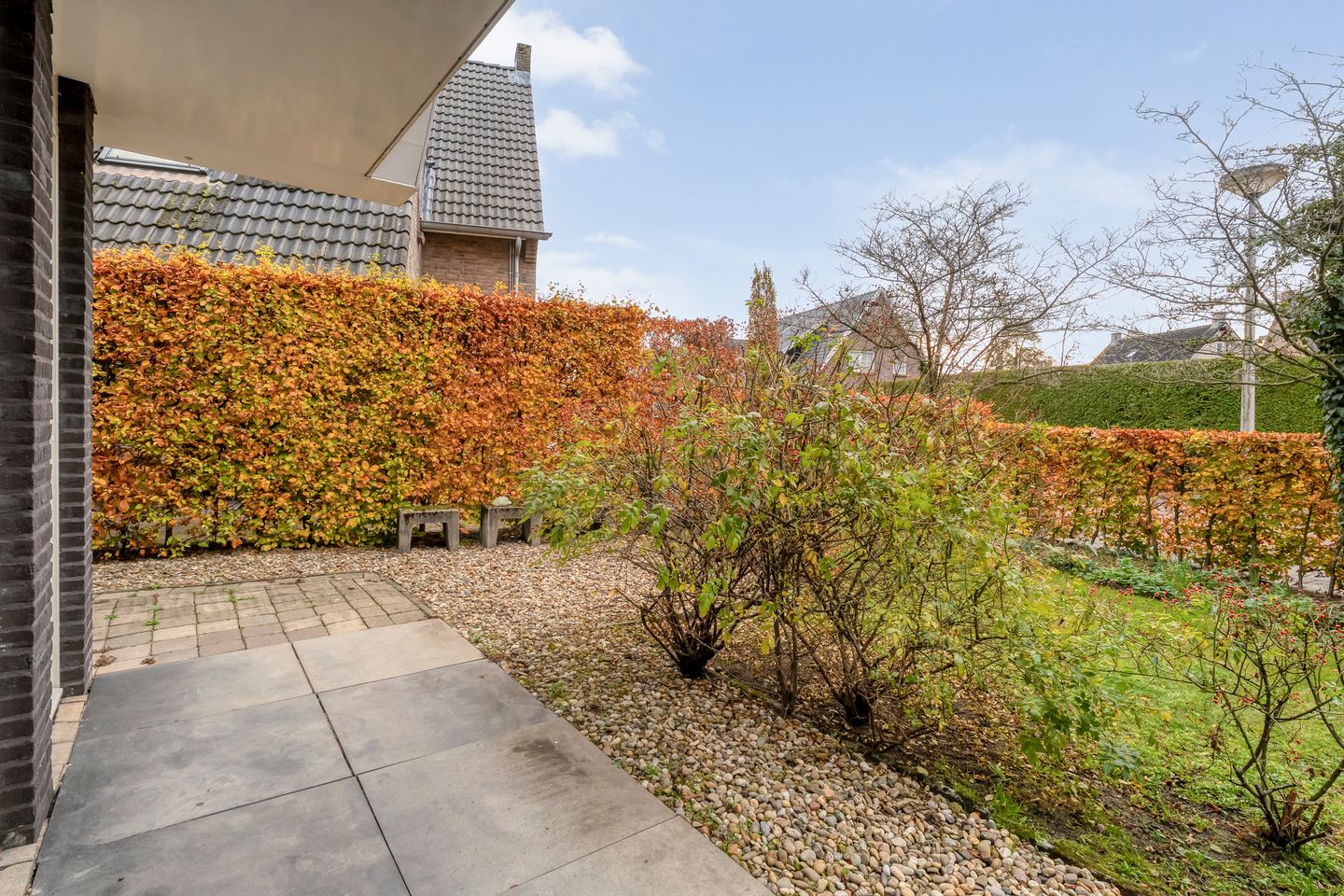 Foto 10 van Cello 24