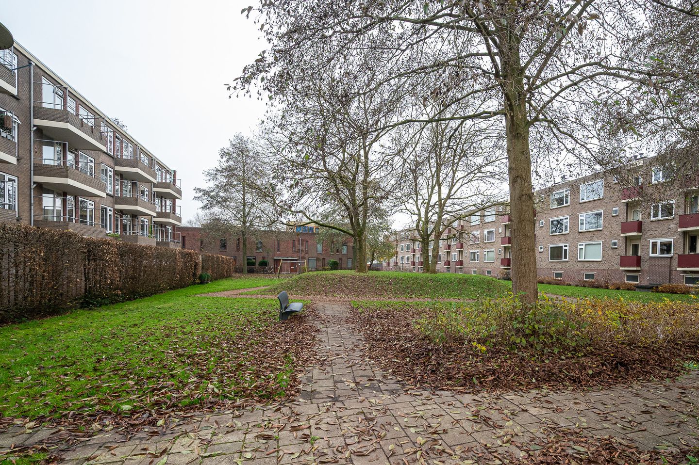 Photo 35 of Nicolaas Beetsstraat 29