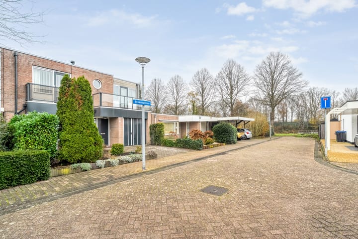 Foto 47 van Braamspinner 38