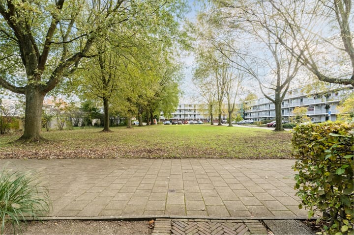 Photo 45 of Pijperring 356