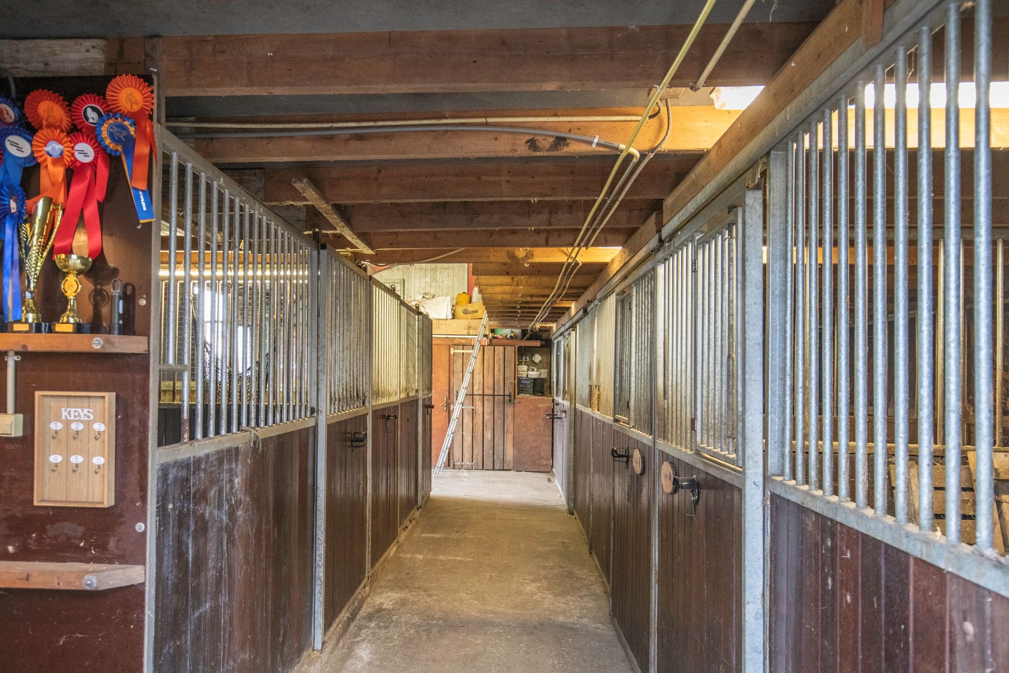 Foto 36 van Ossehaarseweg 1