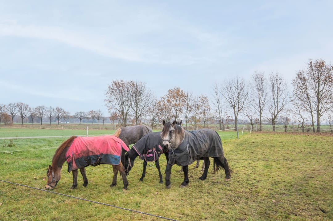 Foto 38 van Ossehaarseweg 1