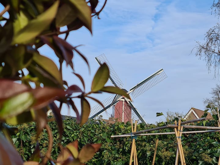 Foto 8 van Julianastraat 18