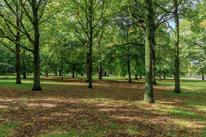 Photo 62 of Kamperlaan 38