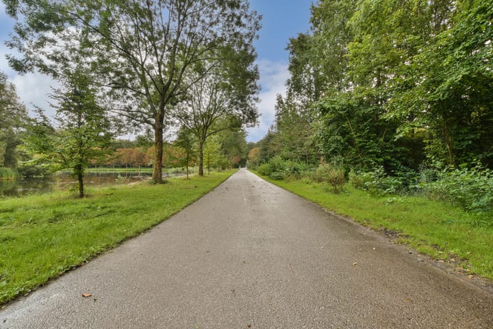 Foto 30 van Purcellstraat 43