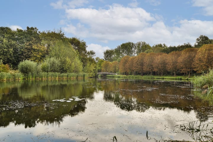 Foto 31 van Purcellstraat 43