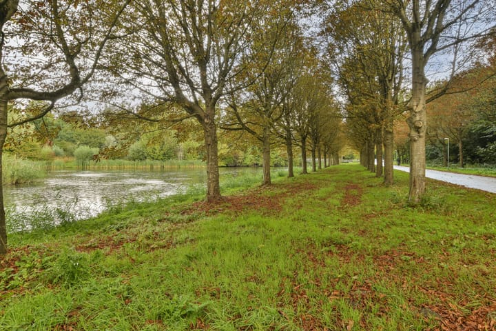 Foto 32 van Purcellstraat 43