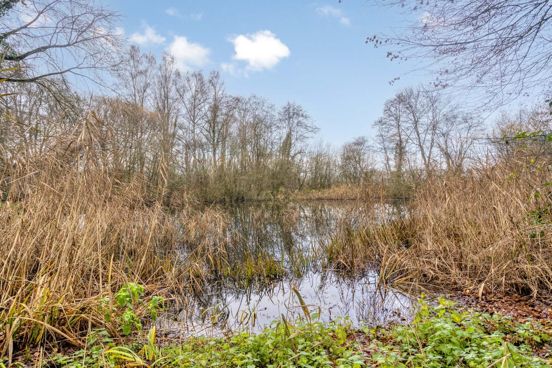 Foto 38 van Pieter Langendijkstraat 22