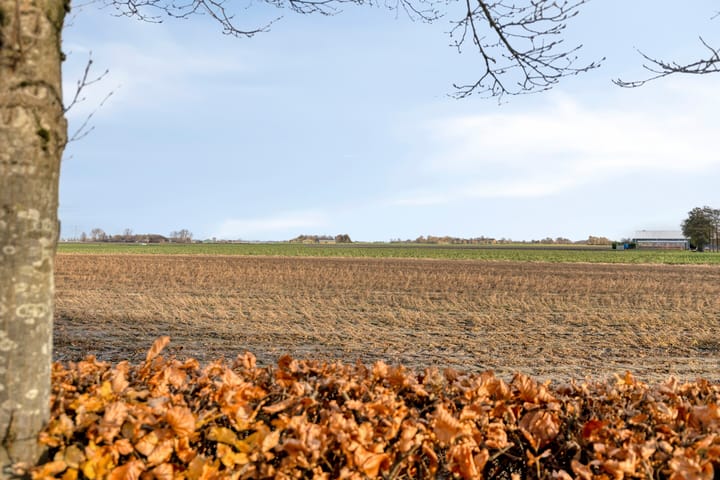 Photo 39 of Moerstraatseweg 76