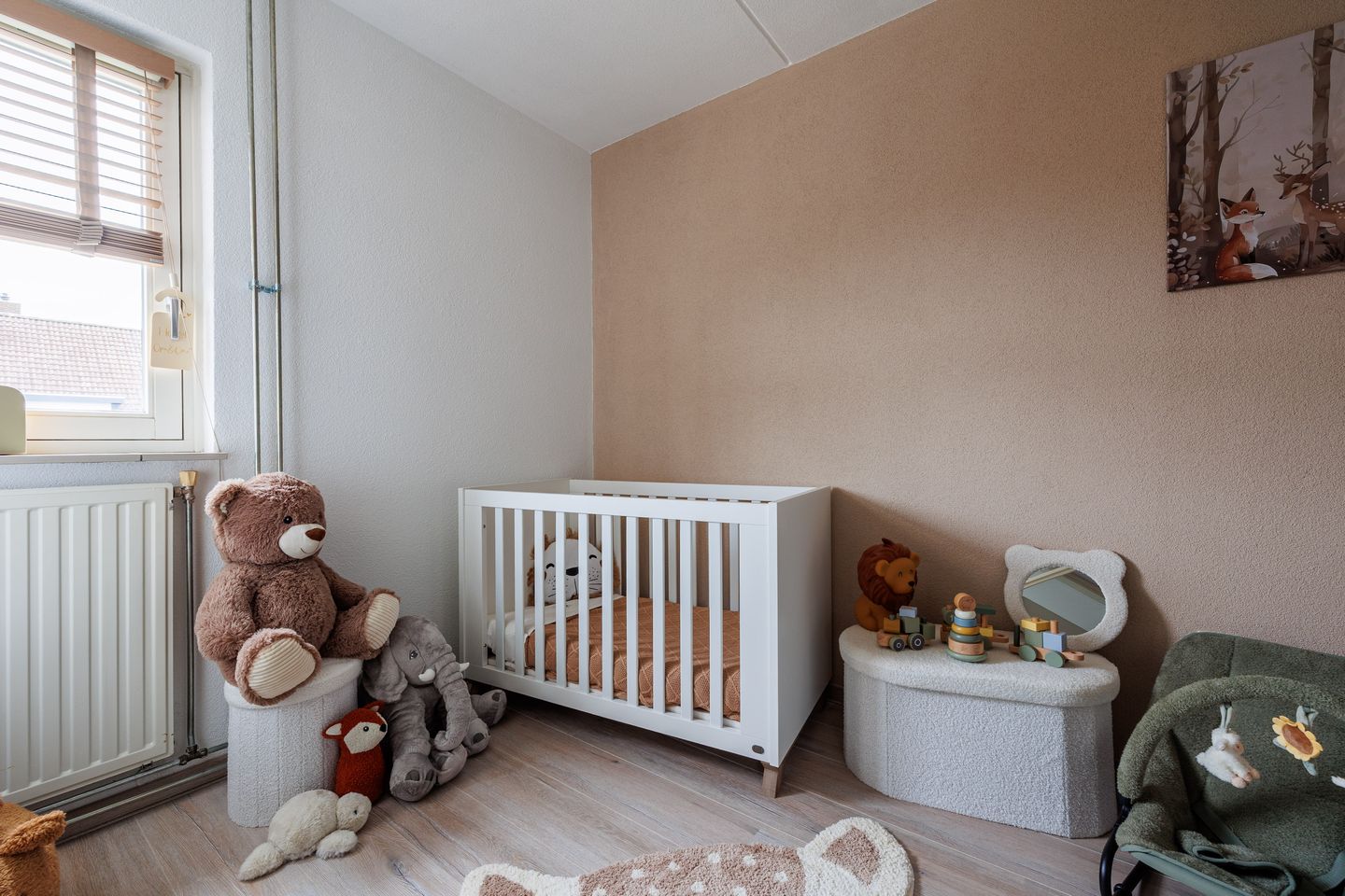 Foto 29 van Pastoor Reintjesstraat 18