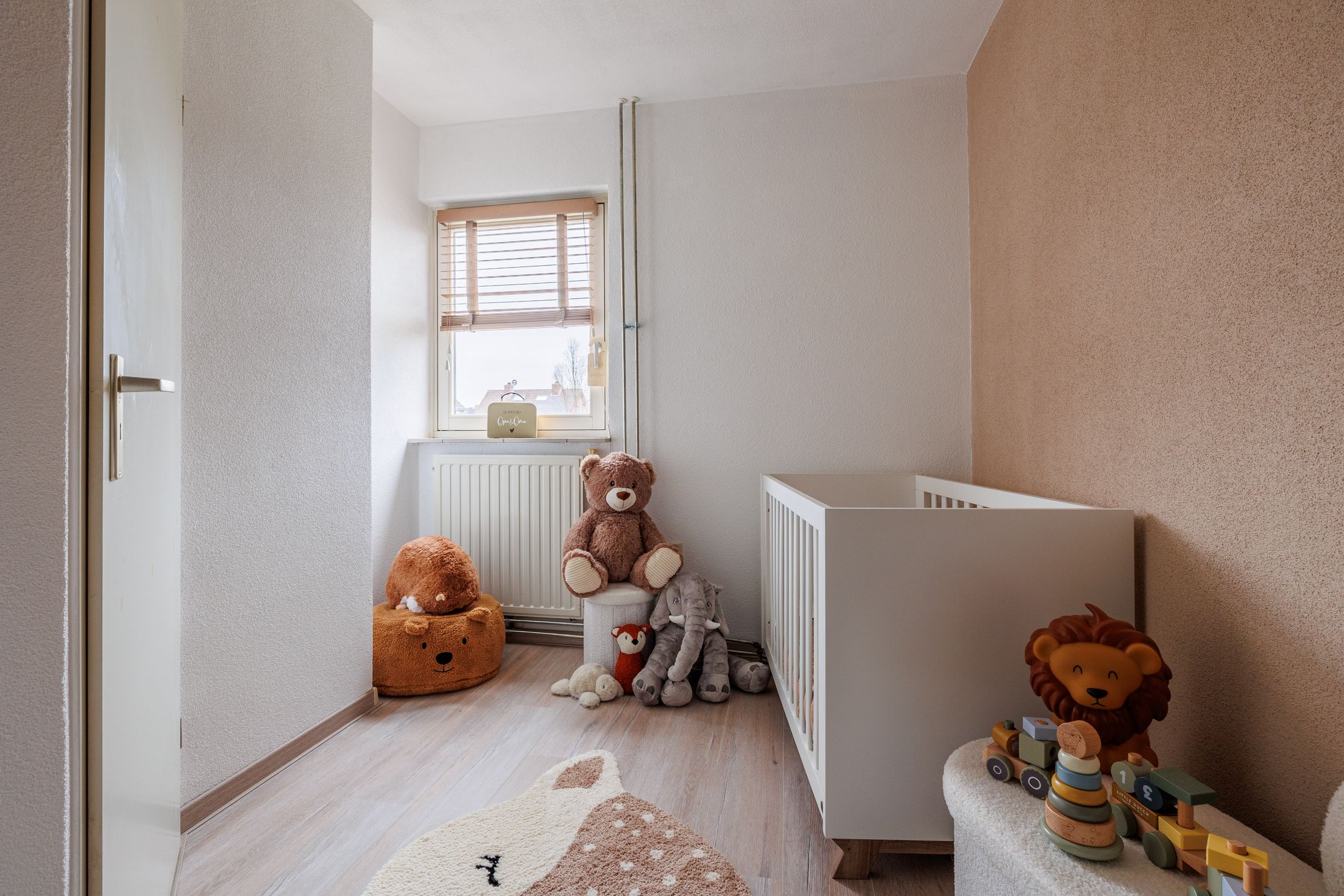 Foto 30 van Pastoor Reintjesstraat 18