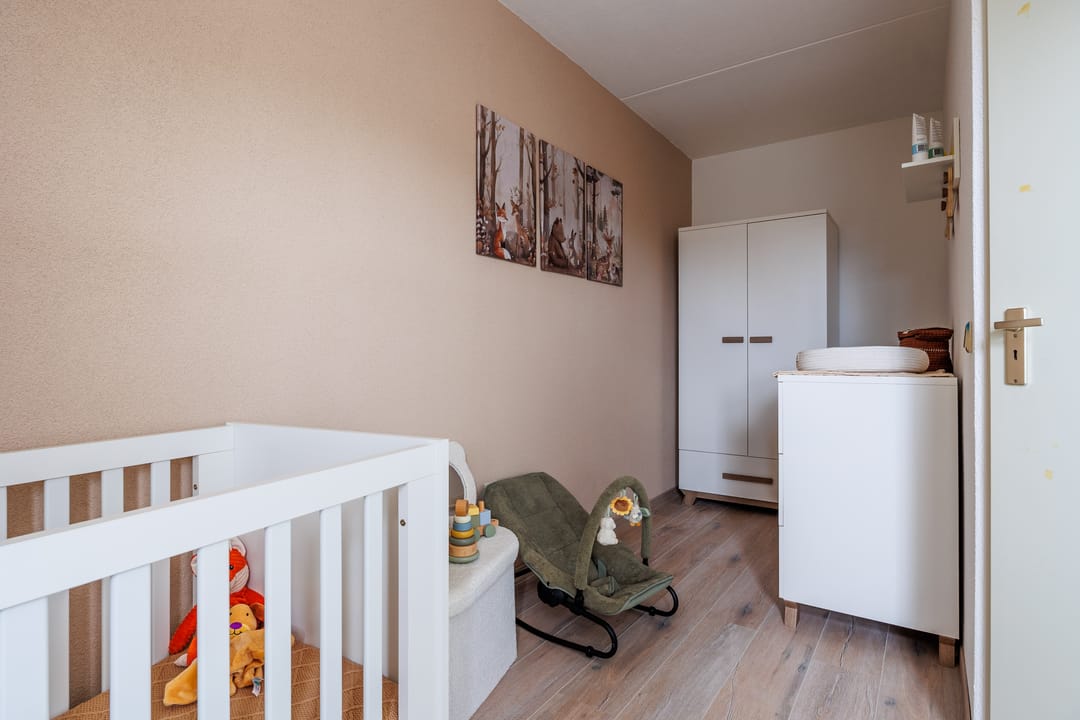 Foto 31 van Pastoor Reintjesstraat 18