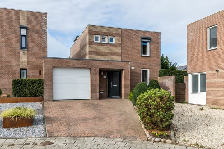 Photo 2 of Munster 4