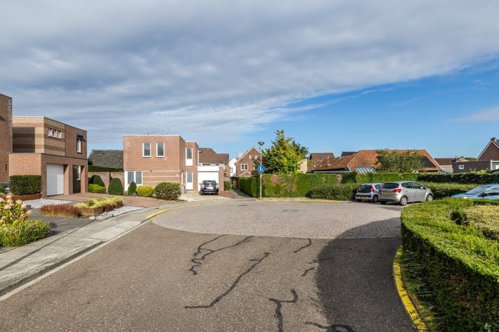 Photo 4 of Munster 4