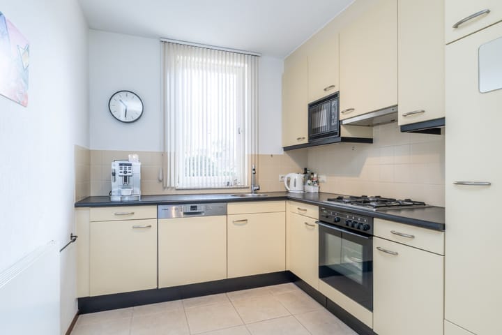 Photo 17 of Munster 4