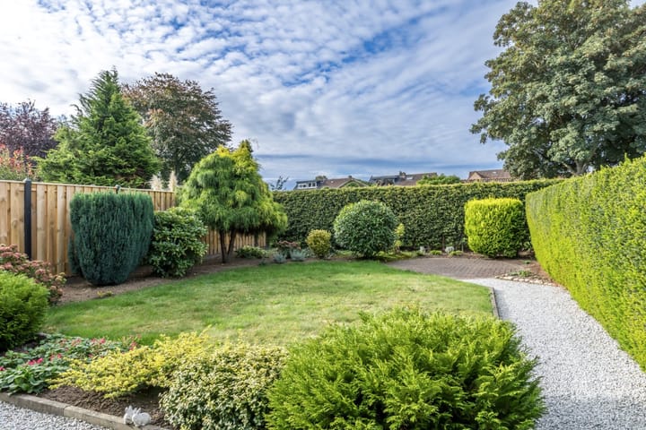 Photo 19 of Munster 4